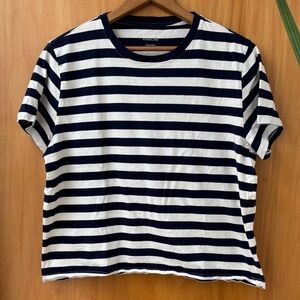 Everlane Striped Short Sleeve Top in Navy and White